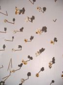 Feed - popcornfield - Field 2